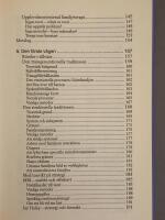 Familjen plus en : en resa genom familjeterapins praktik och id&eacute;er