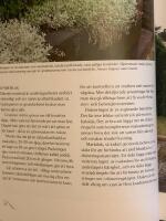 Tr&auml;dg&aring;rdens sluttningar : Murar Trappor Vattenfall Pooler