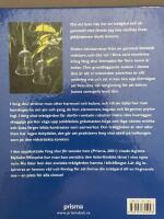 Feng shui f&ouml;r svenska tr&auml;dg&aring;rdar