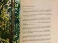 Latmanstr&auml;dg&aring;rden