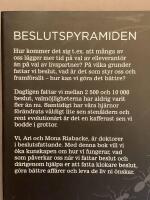 Beslutspyramiden - Stegen till b&auml;ttre beslut