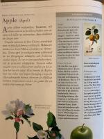 Blomessenser En illustrerad guide