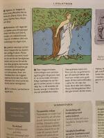 Blomessenser En illustrerad guide