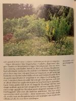 G&ouml;mda v&auml;xter i gl&ouml;mda tr&auml;dg&aring;rdar : om att bevara gamla kulturv&auml;xter