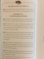 Konsten att leva som en katt