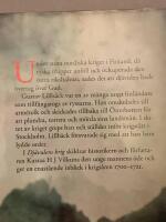 Dj&auml;vulens krig : f&ouml;rr&auml;daren Gustav Lillb&auml;ck och stora nordiska kriget 1700-1721