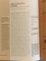 Teorier p&aring; 30 sekunder