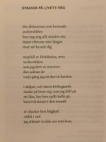 Sinneskvintetten (Smaken av st&aring;l ; Synen av ljus ; Lukten av sn&ouml; ; Ljudet av moln ; Ber&ouml;ringen av hud)