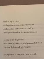 och vardagen d&aring; n&auml;r vi stryker och kardar seri&ouml;st