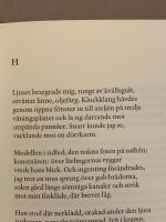 Den dyrbaraste f&auml;rgen : eller vad Hendrickje sa till Rembrandt