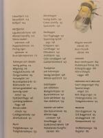 Vad jag finner i tr&auml;dg&aring;rden