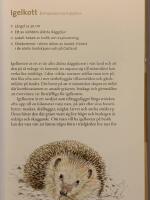 Vad jag finner i tr&auml;dg&aring;rden