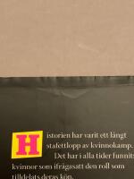 Alla dessa dj&auml;fla qvinnor : ber&auml;ttelsen om de f&ouml;rsta feministerna