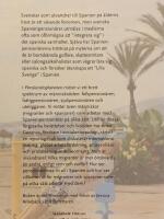 Pension&auml;rsplaneten: Spaniensvenskar och pensionsmigration i en globaliserad v&auml;rld