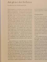 Svenska hus : landsbygdens arkitektur : fr&aring;n bondesamh&auml;lle till industrialism