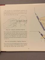 Teckna med blyerts och krita