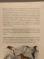 F&aring;glarna i Norden