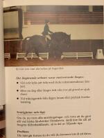 Proffsryttarens ridl&auml;ra