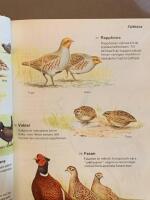 V&aring;ra f&aring;glar : Sveriges f&aring;glar i f&auml;rg