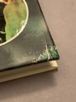 Skydda din tr&auml;dg&aring;rd