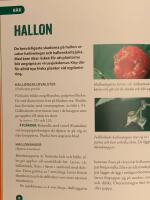 Skydda din tr&auml;dg&aring;rd