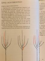 Besk&auml;ra tr&auml;d och buskar