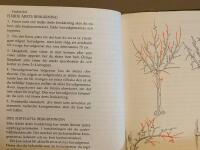 Besk&auml;ra tr&auml;d och buskar