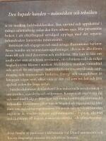 Den kupade handen : historien om m&auml;nniskan och tekniken