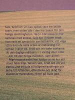 Salt, br&ouml;d och vin - en pilgrimsteologi : en pilgrimsteologi