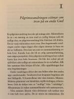 Salt, br&ouml;d och vin - en pilgrimsteologi : en pilgrimsteologi