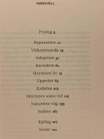 Bortom tjuvarnas marknad