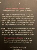 F&ouml;rklara, f&ouml;rklara, Einstein!
