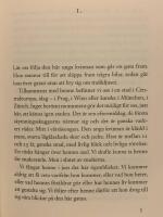 F&ouml;rklara, f&ouml;rklara, Einstein!