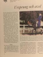 Westernridning - en totalupplevelse