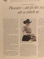 Westernridning - en totalupplevelse