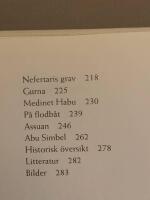 Resan med Ramses-Svenska f&ouml;rfattare med aptit p&aring; v&auml;rlden