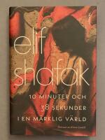 10 minuter och 38 sekunder i en m&auml;rklig v&auml;rld