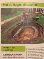 Dammar : tr&auml;dg&aring;rdsexpertens b&auml;sta r&aring;d & tips