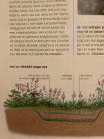 Dammar : tr&auml;dg&aring;rdsexpertens b&auml;sta r&aring;d & tips