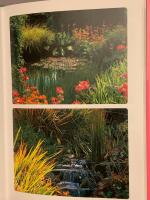 Dammar : tr&auml;dg&aring;rdsexpertens b&auml;sta r&aring;d & tips