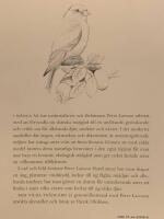 Min vilda tr&auml;dg&aring;rd : tankar och praktiska tips