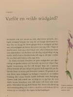 Min vilda tr&auml;dg&aring;rd : tankar och praktiska tips