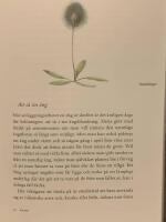 Min vilda tr&auml;dg&aring;rd : tankar och praktiska tips