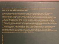 Lek och raseri-Ingemar Bergmans teater 1938-2002