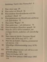 Nietzsche : liv och t&auml;nkes&auml;tt