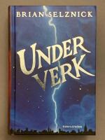 Underverk : en roman i ord och bilder