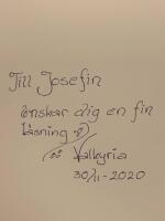 Att &aring;tervinna livet och leva ett h&aring;llbart liv