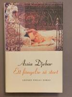 Ett f&auml;ngelse s&aring; stort : roman