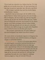 Ett f&auml;ngelse s&aring; stort : roman