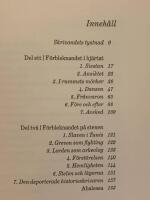 Ett f&auml;ngelse s&aring; stort : roman